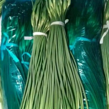 蒜薹通货50~60cm四季现货,质量保证
