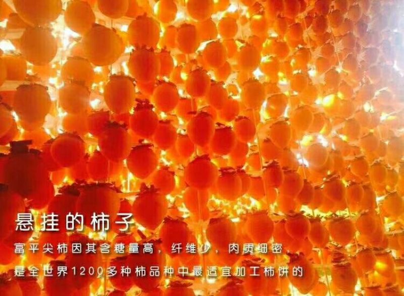柿饼1~2两