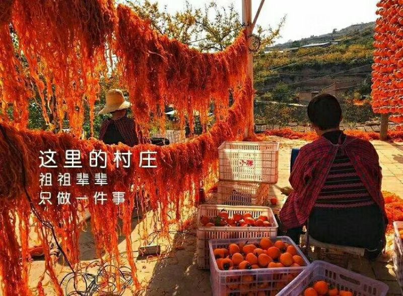 柿饼1~2两