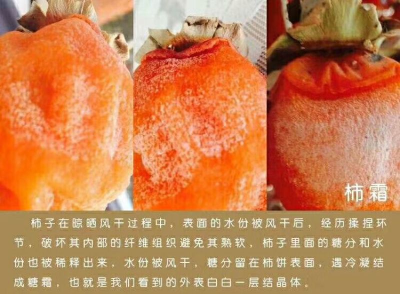 柿饼1~2两