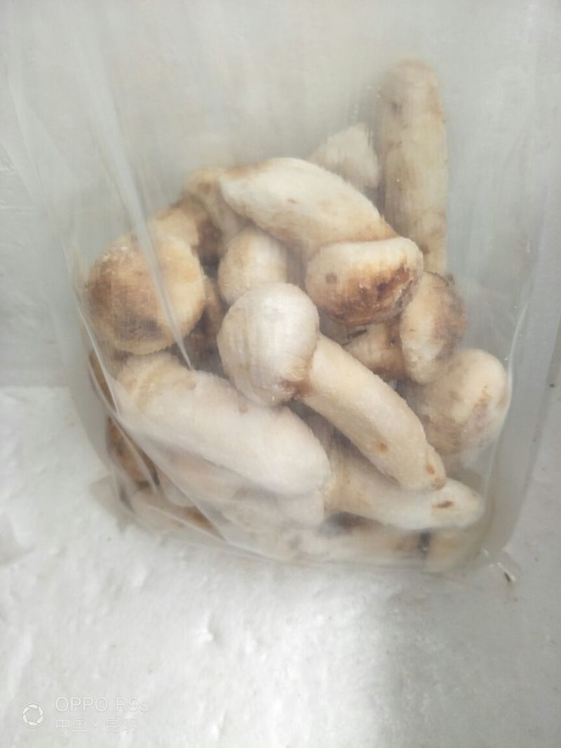 2020年速冻松茸各规格