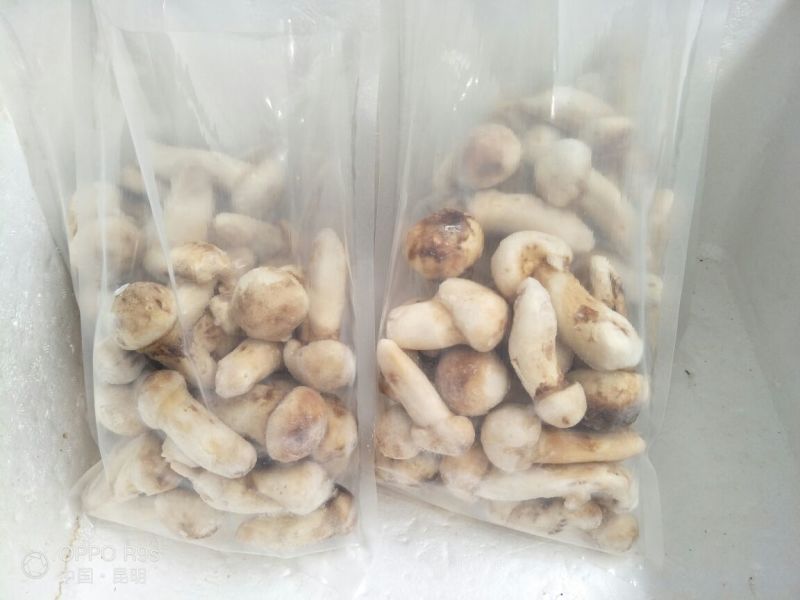 2020年速冻松茸各规格