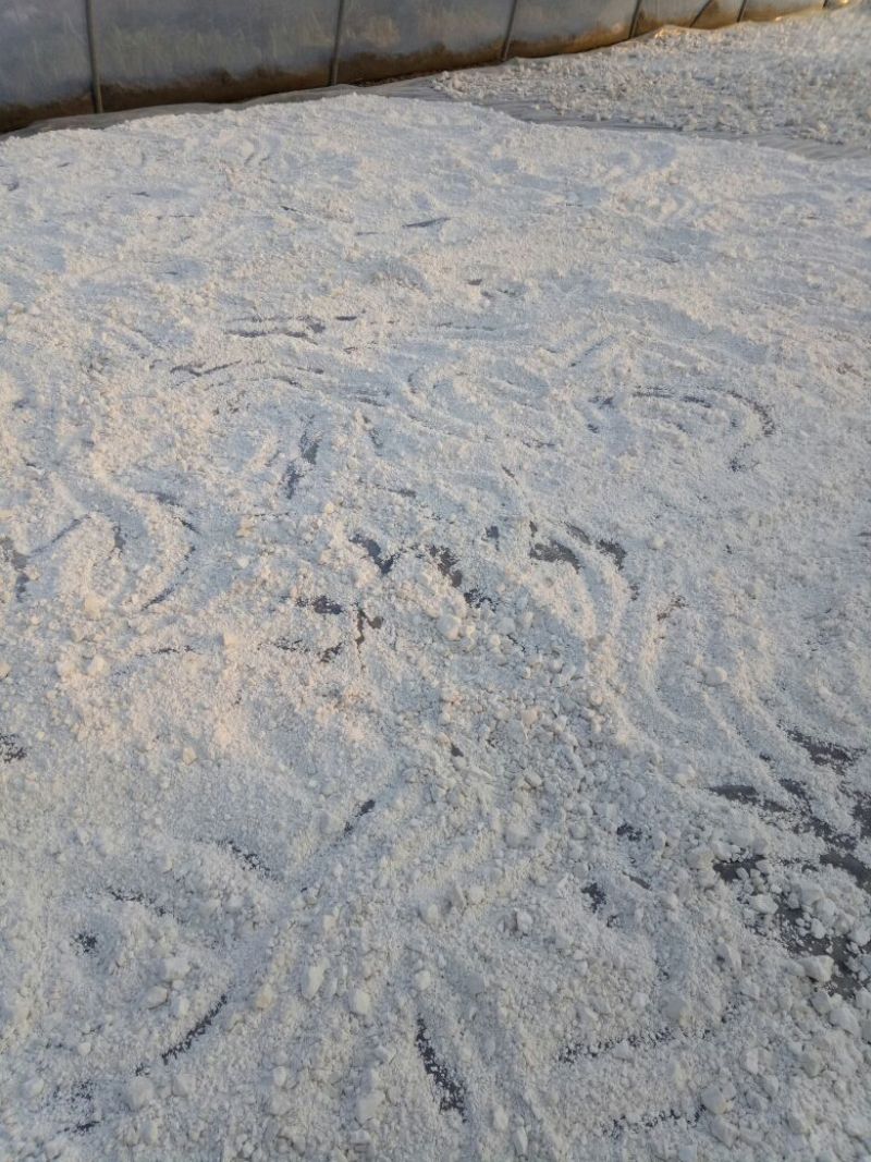 红薯粉面袋装