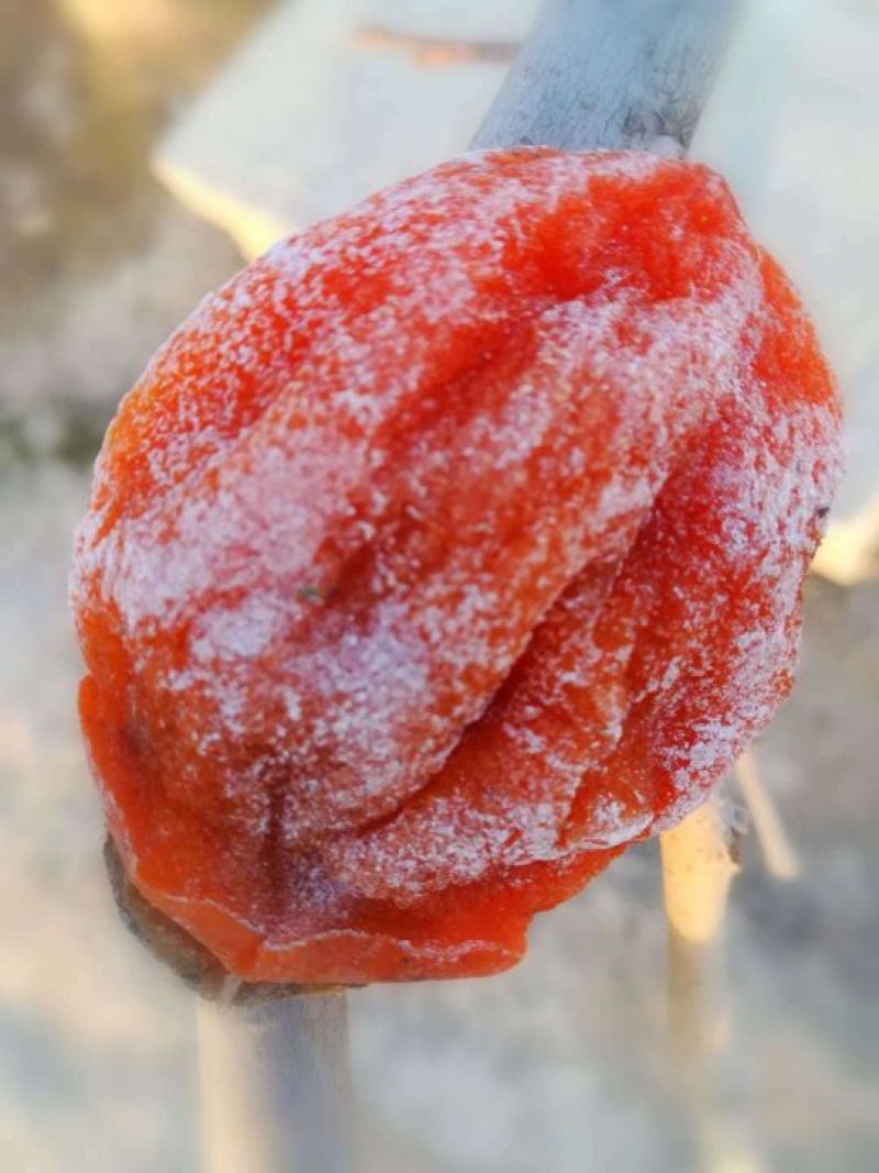 柿饼1~2两