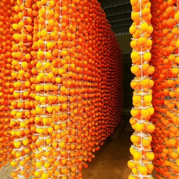 柿饼1~2两