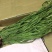 贡菜