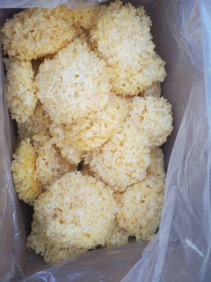 银耳一级