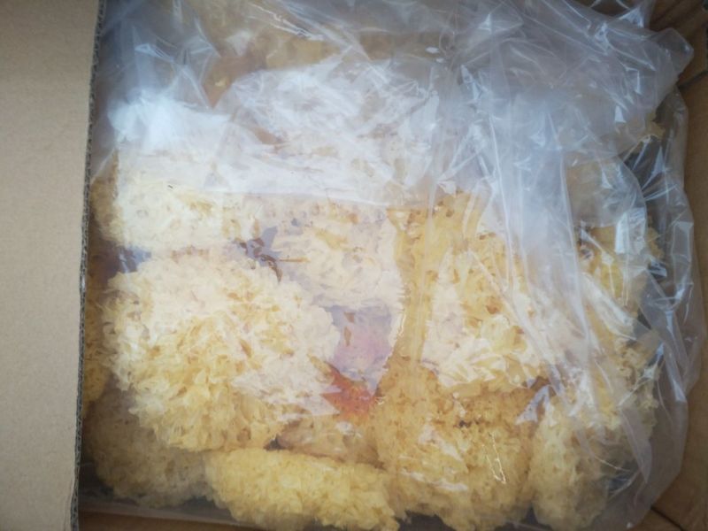 银耳一级
