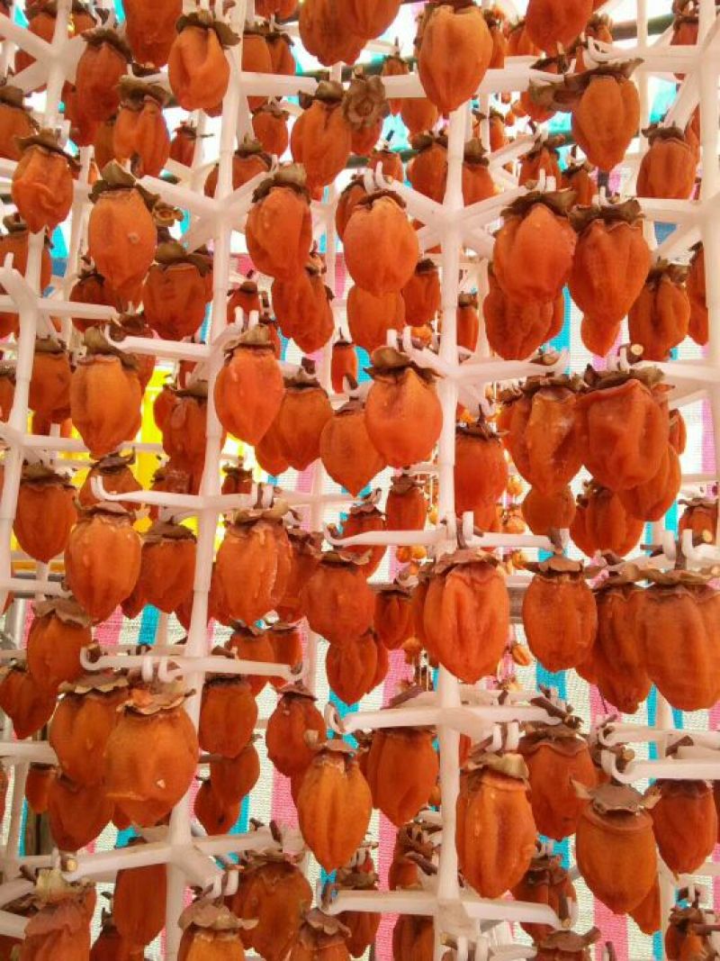 柿饼1两以下