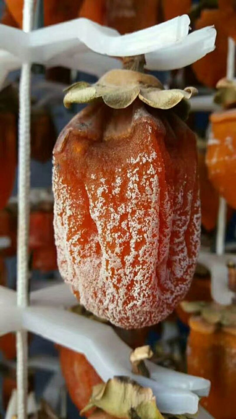 柿饼1两以下
