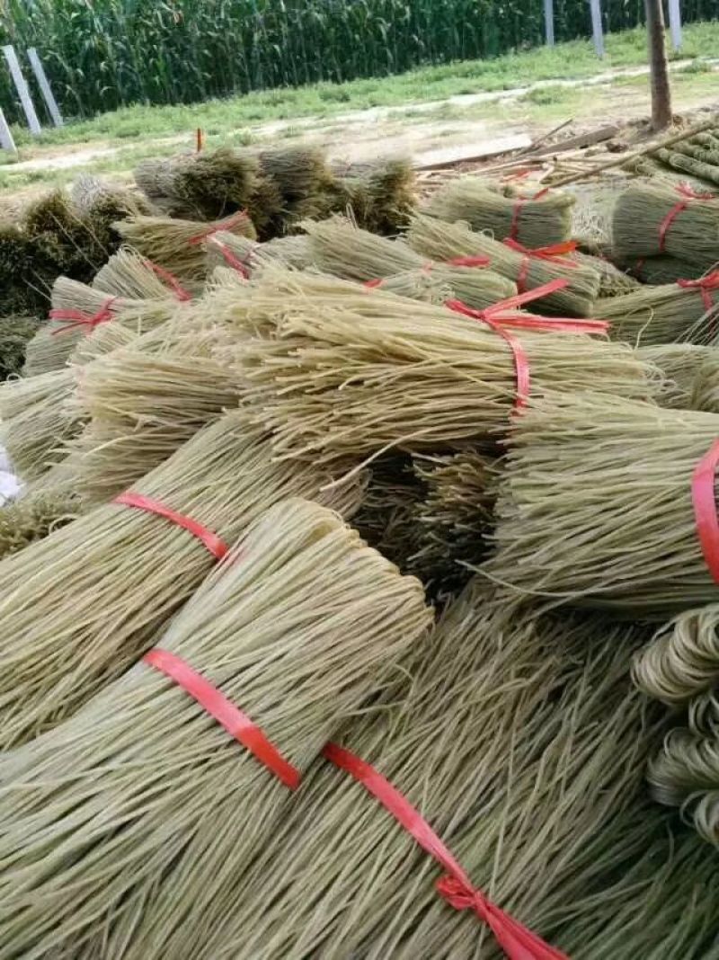 红薯粉丝散装