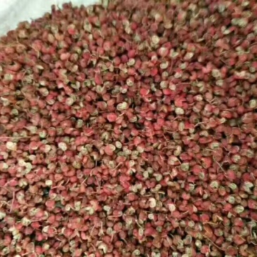 花椒特级干