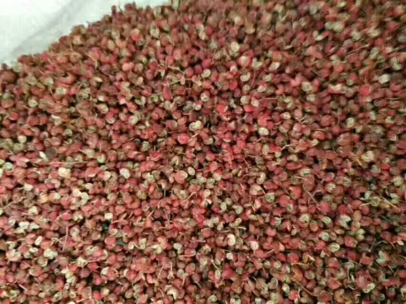 花椒特级干