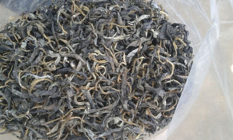 本山茶二级