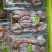 柿饼1~2两