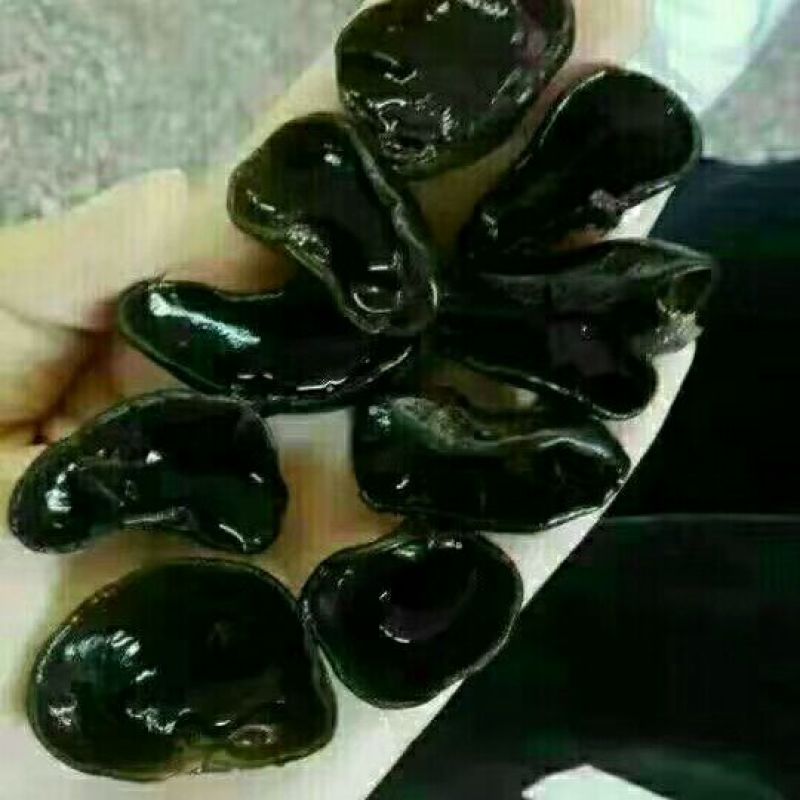 黑木耳一级