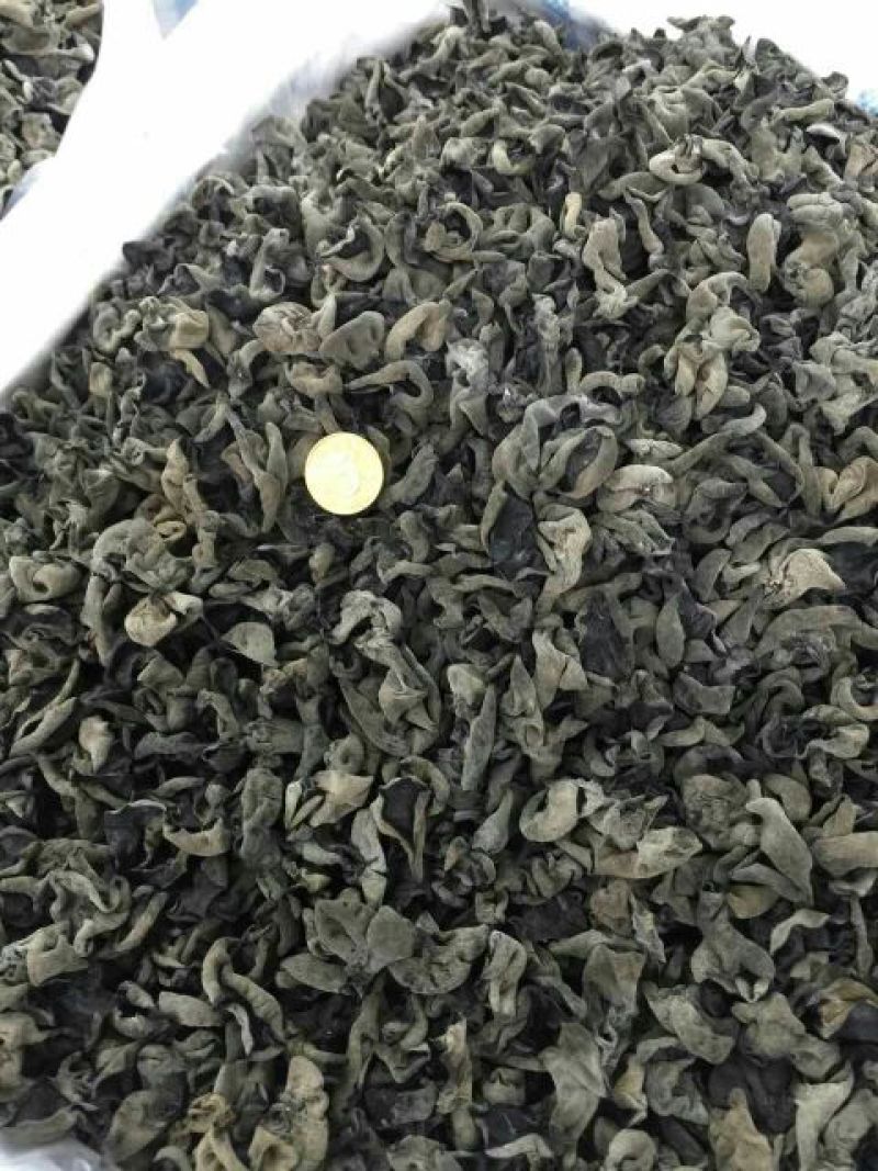 黑木耳一级