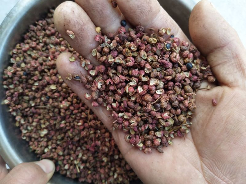 大红袍花椒量大优惠多多颜色好看开口好