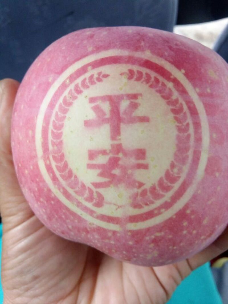 红富士苹果80mm以上纸袋
