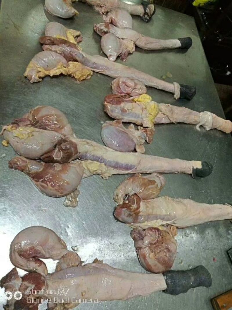 驴肉冻货