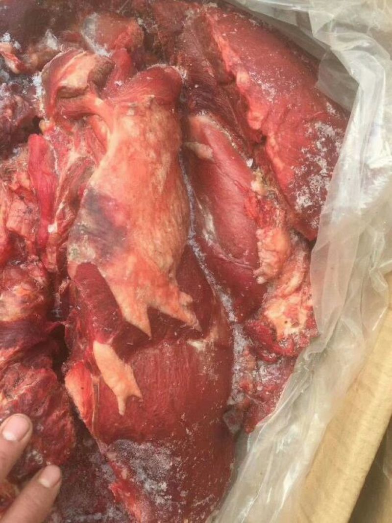 驴肉冻货