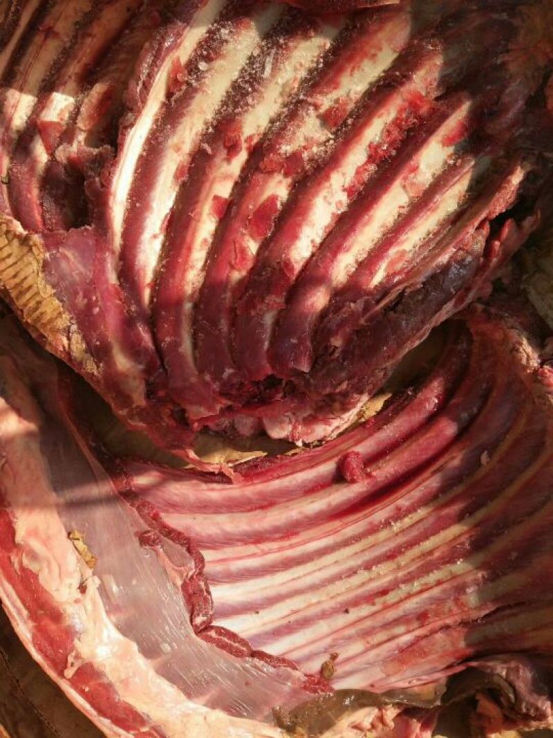 驴肉冻货