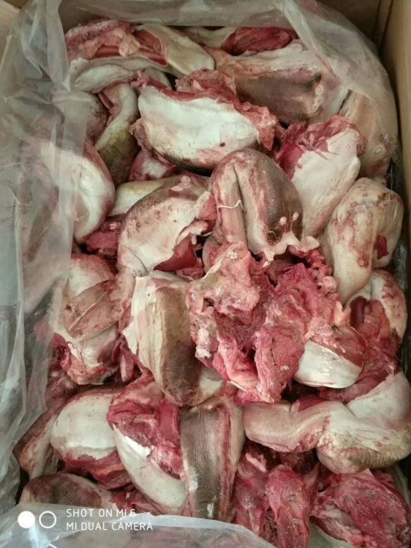 驴肉冻货