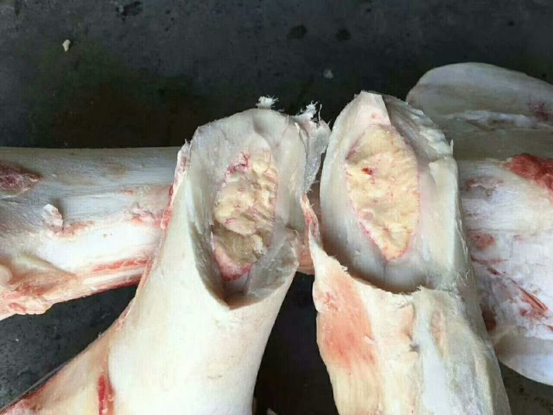 驴肉冻货