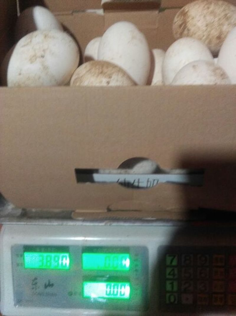 土鹅蛋食用