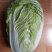 大白菜4~6斤净菜，产地直供，货源充足，散装，袋装，