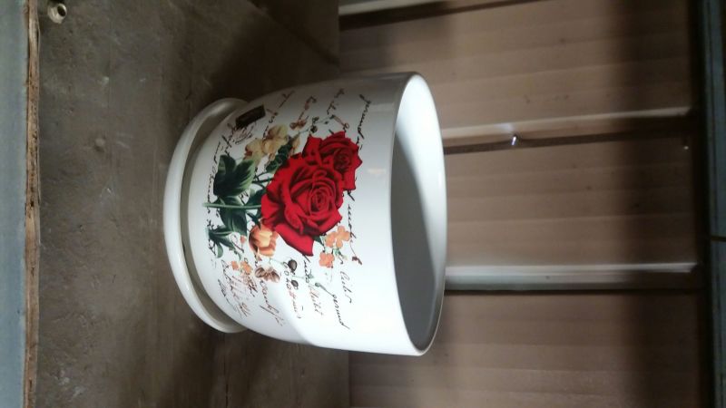 花盆