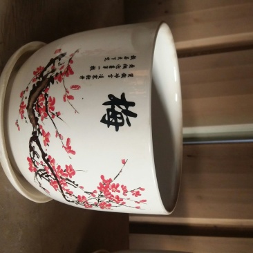 花盆
