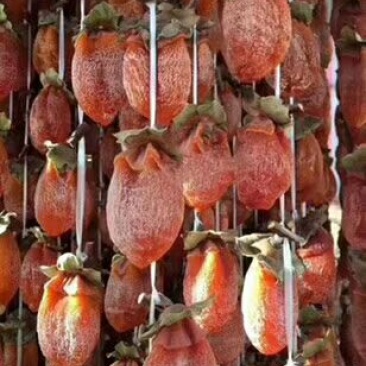 柿饼1~2两