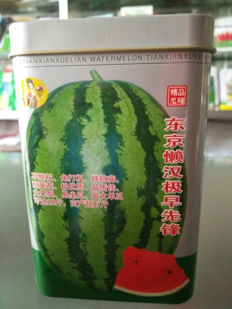西瓜种子97%以上