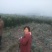杨梅树30~50cm