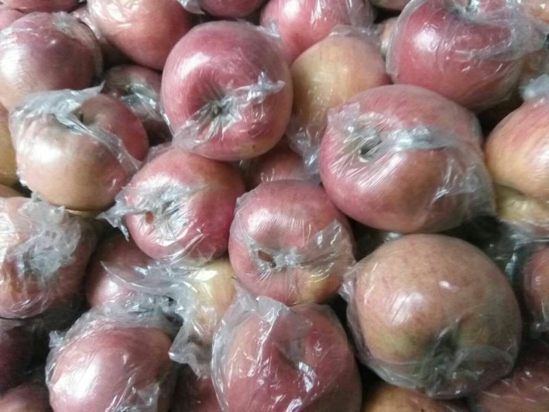 红富士苹果产地直销价！75mm以上膜袋纸袋