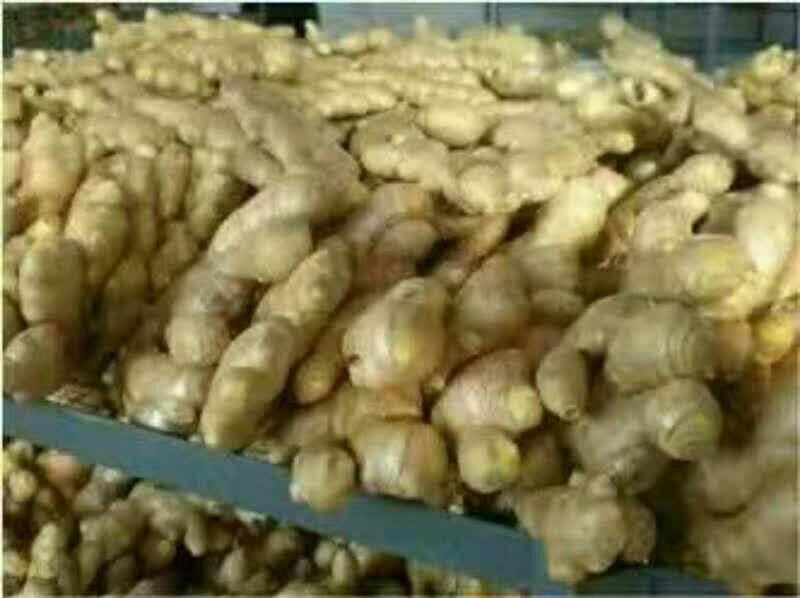 生姜批发价格，品种齐全，质量保证！价格便宜！