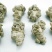 云南野生三七5头选货干货500克，精品野生天麻