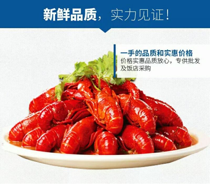小龙虾食用4-6钱（20-30克）冻虾小龙虾主养