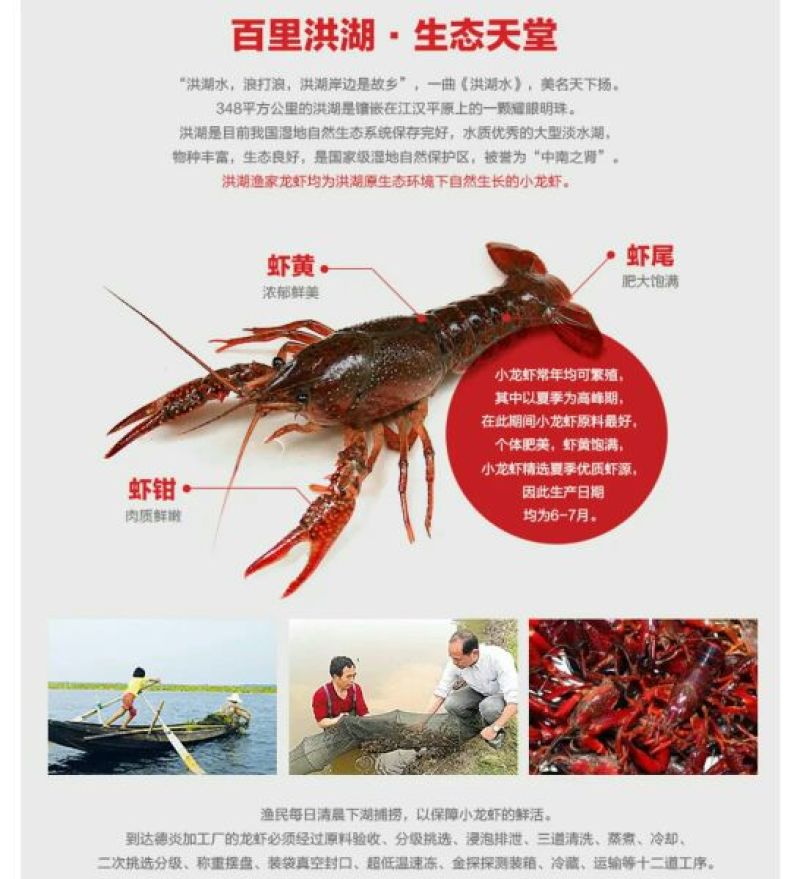 小龙虾食用4-6钱（20-30克）冻虾小龙虾主养