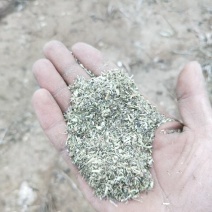 【优选】大量批发花生秧产地直发规格齐全欢迎咨询订