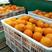 纽荷尔脐橙果园直发薄皮果大口感甘甜可视频看货