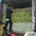 3斤左右