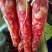 腊肠带绳腊肠
