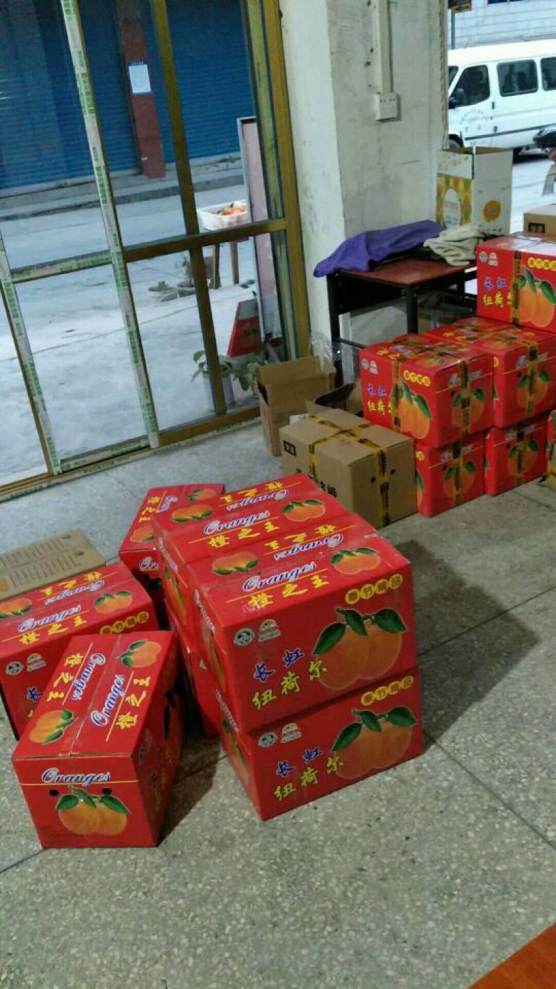 奉节脐橙75~80mm