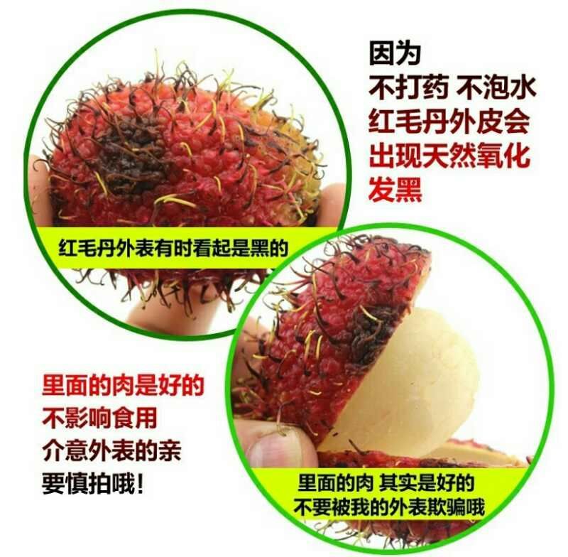毛丹2cm以上