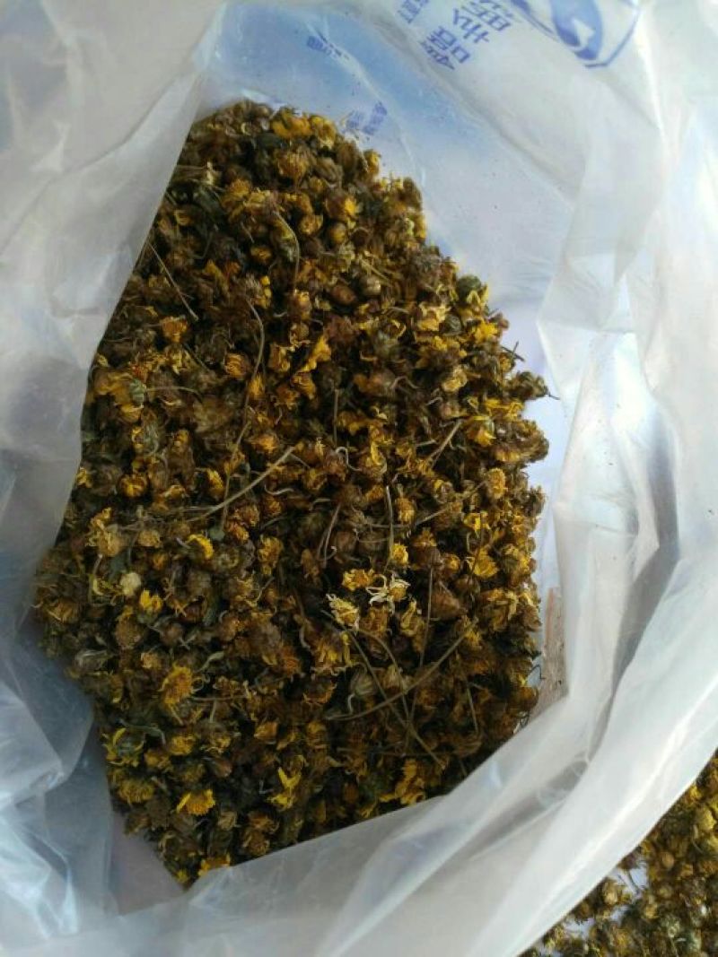 野菊花散装