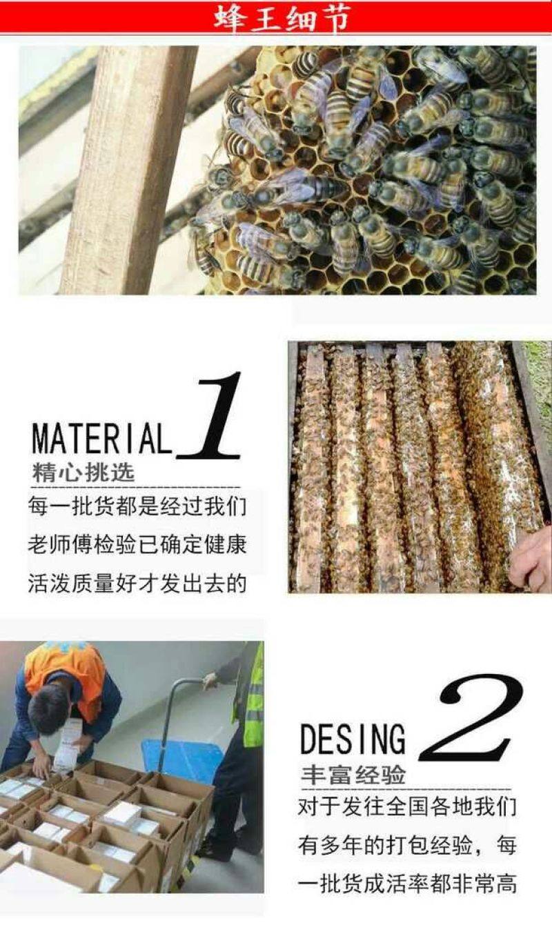 中蜂平箱装