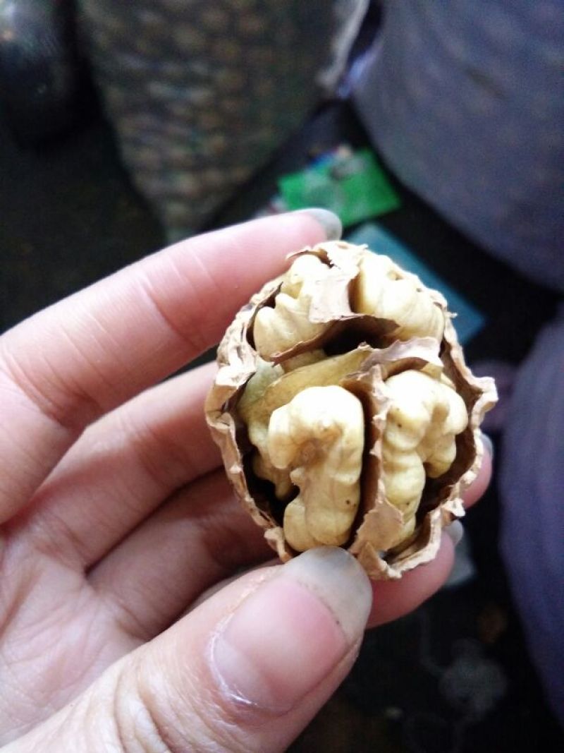纸皮核桃，云南大理漾濞纸皮麻子果，今年新货