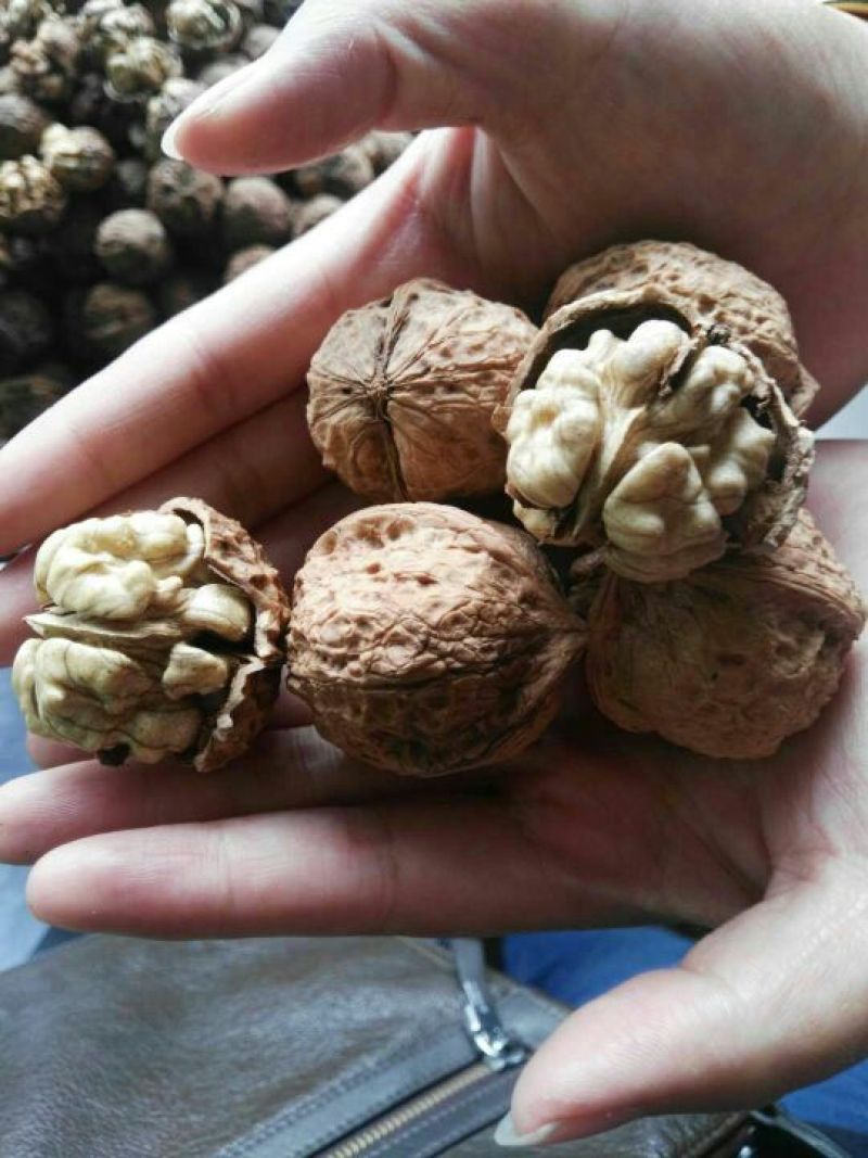 薄皮核桃云南大理漾濞薄皮核桃，口感好，仁子饱满
